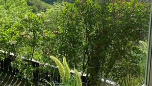 A view from a window overlooking a lush green landscape with rolling hills and a clear sky. - Exceptional vacation home in a fantastic location above Rheinfels Castle, Loreley (Sankt Goar)