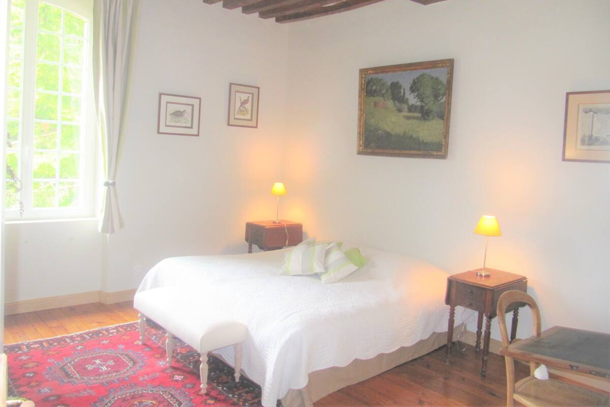 Double Room (Ghislain) | Minibar, iron/ironing board (on request), WiFi (free)