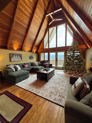 Smart TV, fireplace, video games, books