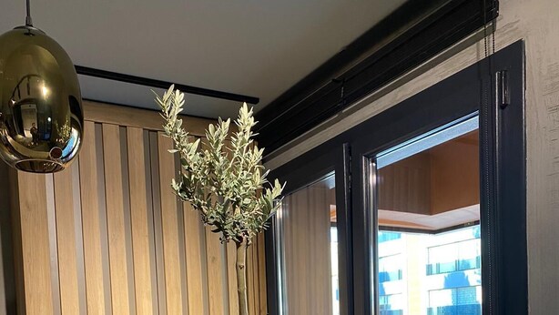 A modern interior with a large white bowl on a countertop, a potted plant, and a view of a red car outside through a glass door. - Aden Life (Ankara)