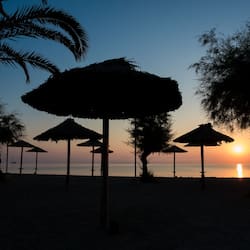 Plage, chaises longues, parasols, bar de plage