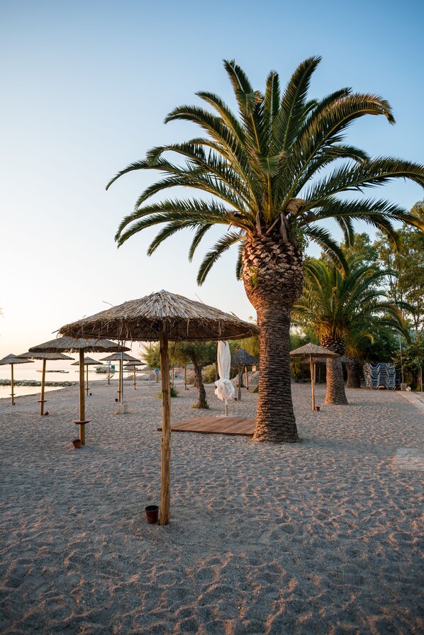 En la playa, sillas reclinables de playa, sombrillas, bar en la playa