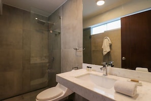 Shower, hair dryer, towels