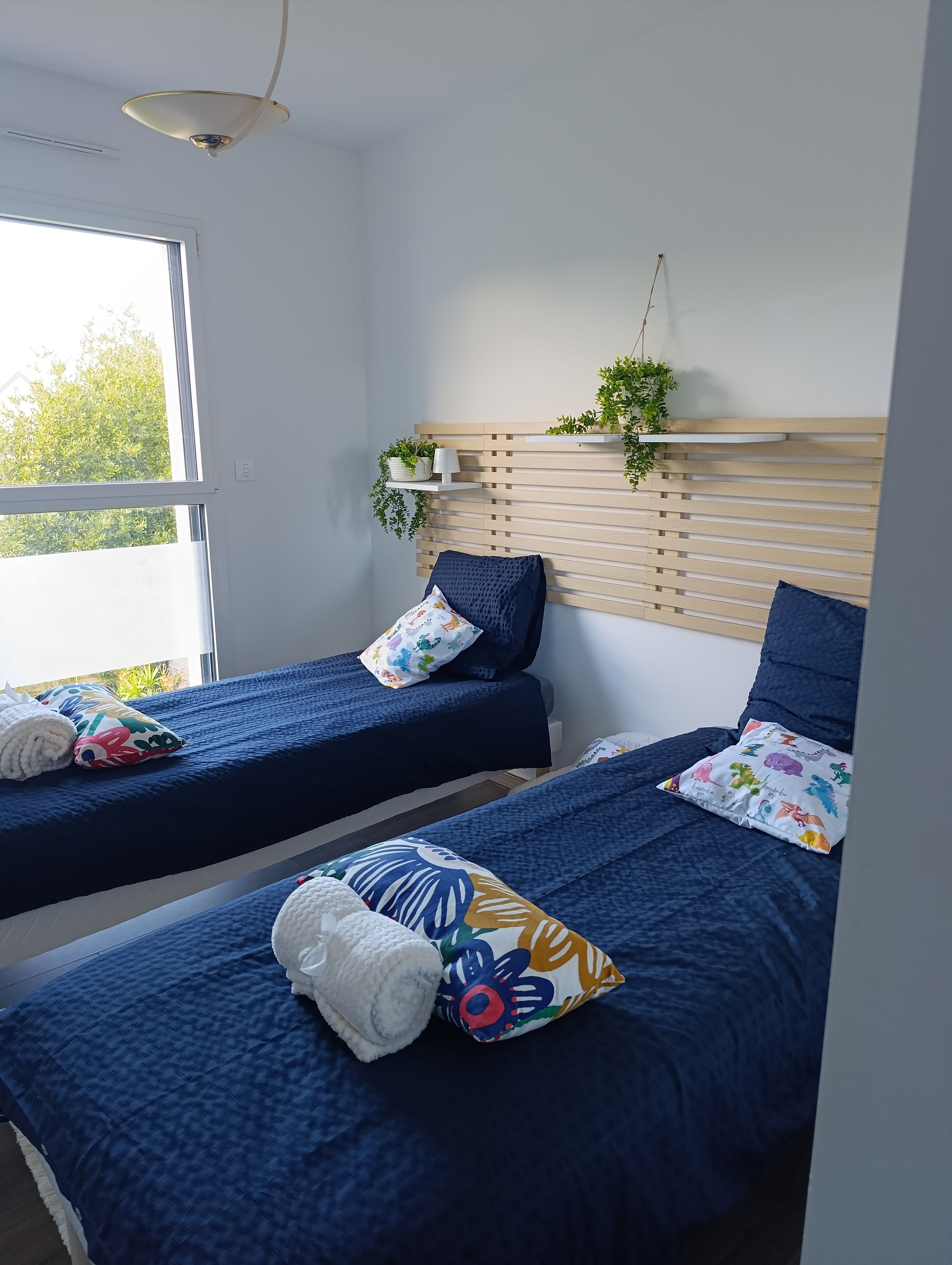 Une chambre avec deux lits, chacun recouvert d’une couvre-lit bleue et agrémenté de coussins colorés. Une fenêtre laisse entrer la lumière naturelle, et un sommier en lattes de bois est surmonté d’étagères où sont disposées des plantes au-dessus des lits.