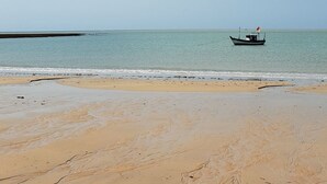 Una playa con un bote en el agua y una orilla arenosa.