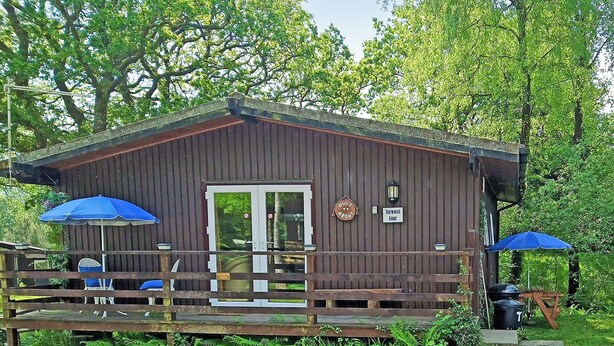 Une cabane en bois avec une terrasse, deux parasols bleus et une pancarte indiquant « Torwood Four ».