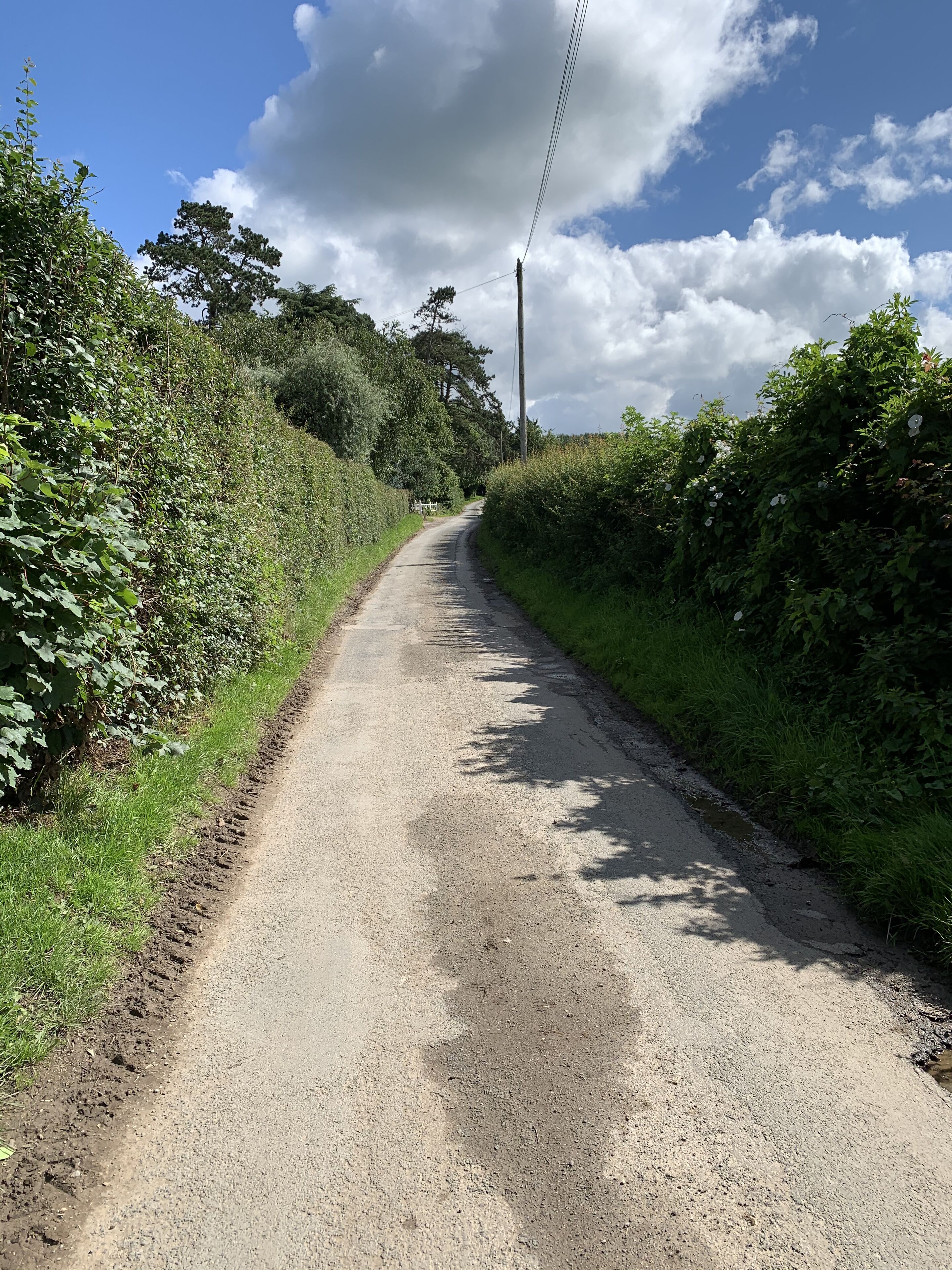 A rural road flanked by dense vegetation and a clear sky.