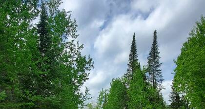 Still Cove Cabin, Lakefront Serenity