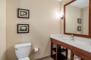 Un baño con inodoro blanco, tocador de madera con espejo y dos cuadros en la pared.