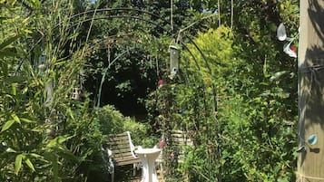 House | Property grounds