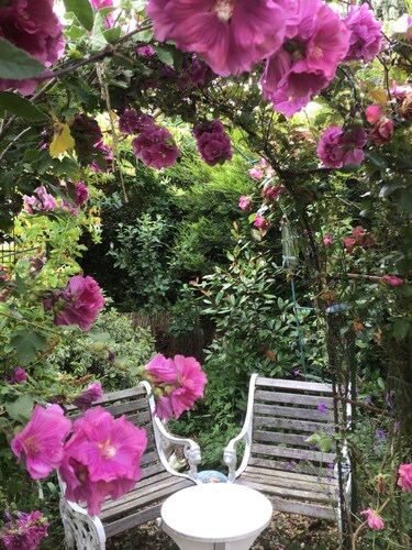 Cozy Nook Boutique Cottage