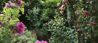 Cozy Nook Boutique Cottage