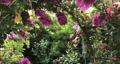 Cozy Nook Boutique Cottage