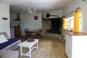 TV, fireplace, table tennis, books