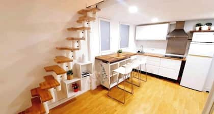 Duplex con cama aerea en el centro de Madrid