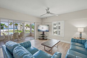 智能电视、乒乓球、书