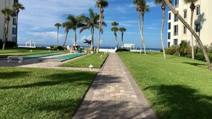 A pathway lined with palm trees leading to a pool area, with a view of the sea and a building in the background. - Island House Beach Resort 12S (Sarasota)