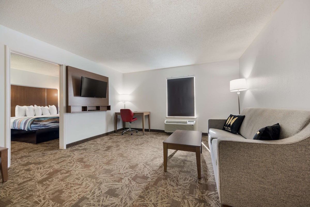A hotel room with a bed, a desk, a chair, a sofa, and a TV mounted on the wall.
