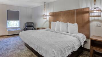 A hotel room with a large bed, a chair, a bedside table, a nightstand, a window, and a ceiling light fixture.