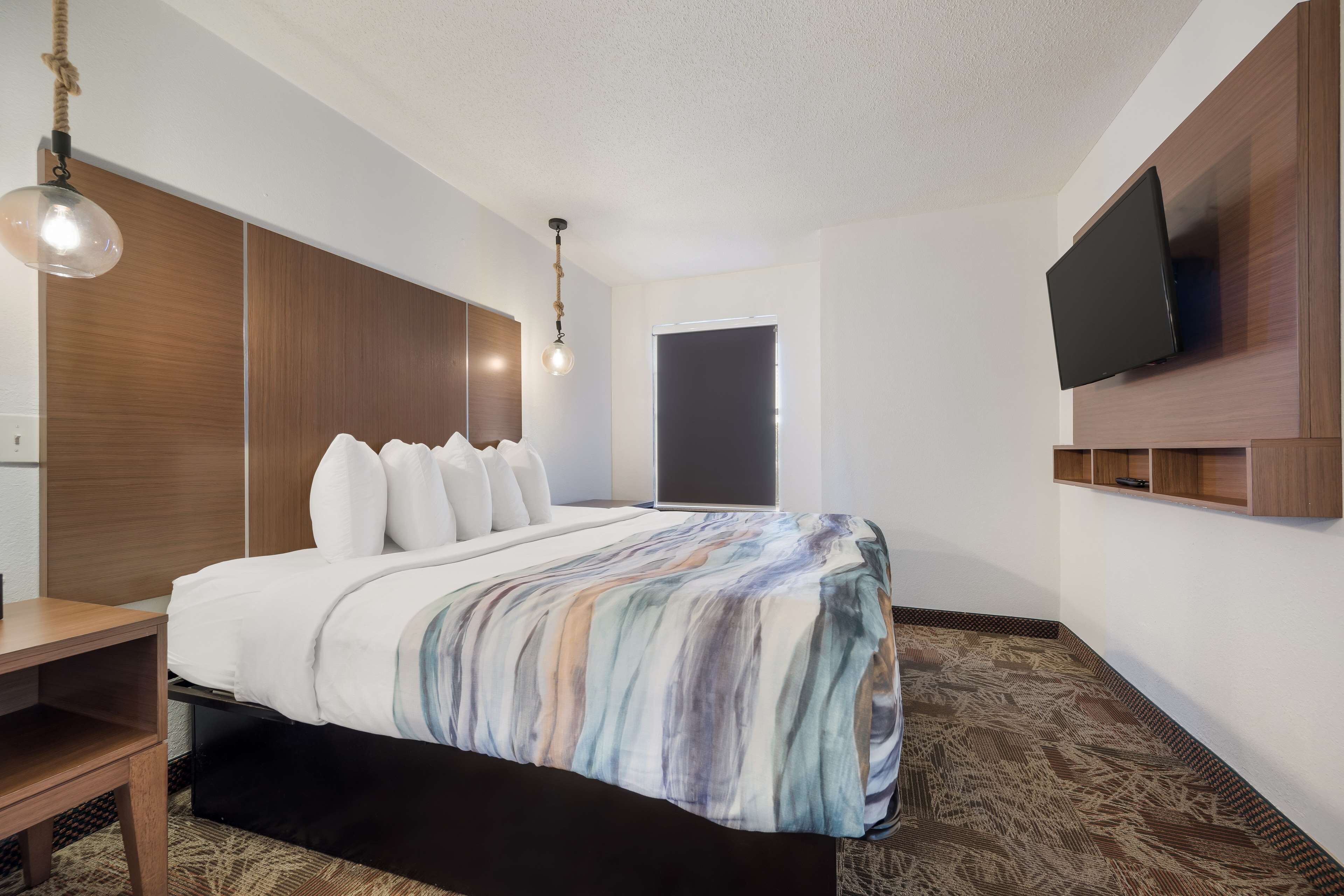 suite, 1 king bed, non smoking, refrigerator & microwave (with sofabed) | 1 bedroom, in-room safe, desk, laptop workspace