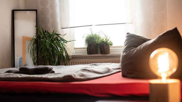 A bed with a red blanket, a pillow, a bedside lamp, and a plant on the windowsill. - 2 Ferienwohnungen in Seenähe (Bitterfeld-Wolfen)