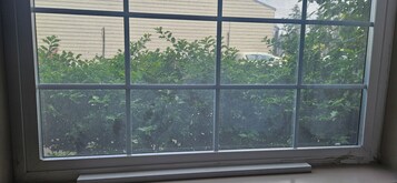Una ventana con vistas a follaje denso y un edificio al fondo.