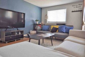 Fernseher, Arbeitsbereiche