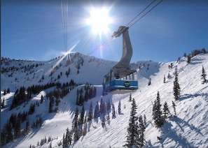 Snow and ski sports