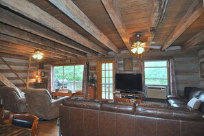 TV - Pondview Cabin - pond, log cabin, wifi, screen porch, deck, hiking, king bed (Berkeley Springs)