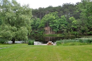 Property grounds - Pondview Cabin - pond, log cabin, wifi, screen porch, deck, hiking, king bed (Berkeley Springs)