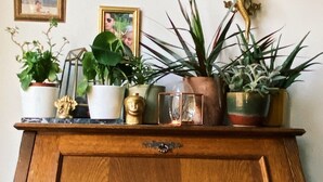 Een houten kast met meerdere lades en een plank waarop verschillende potplanten staan, met daarboven aan de muur ingelijste foto's.