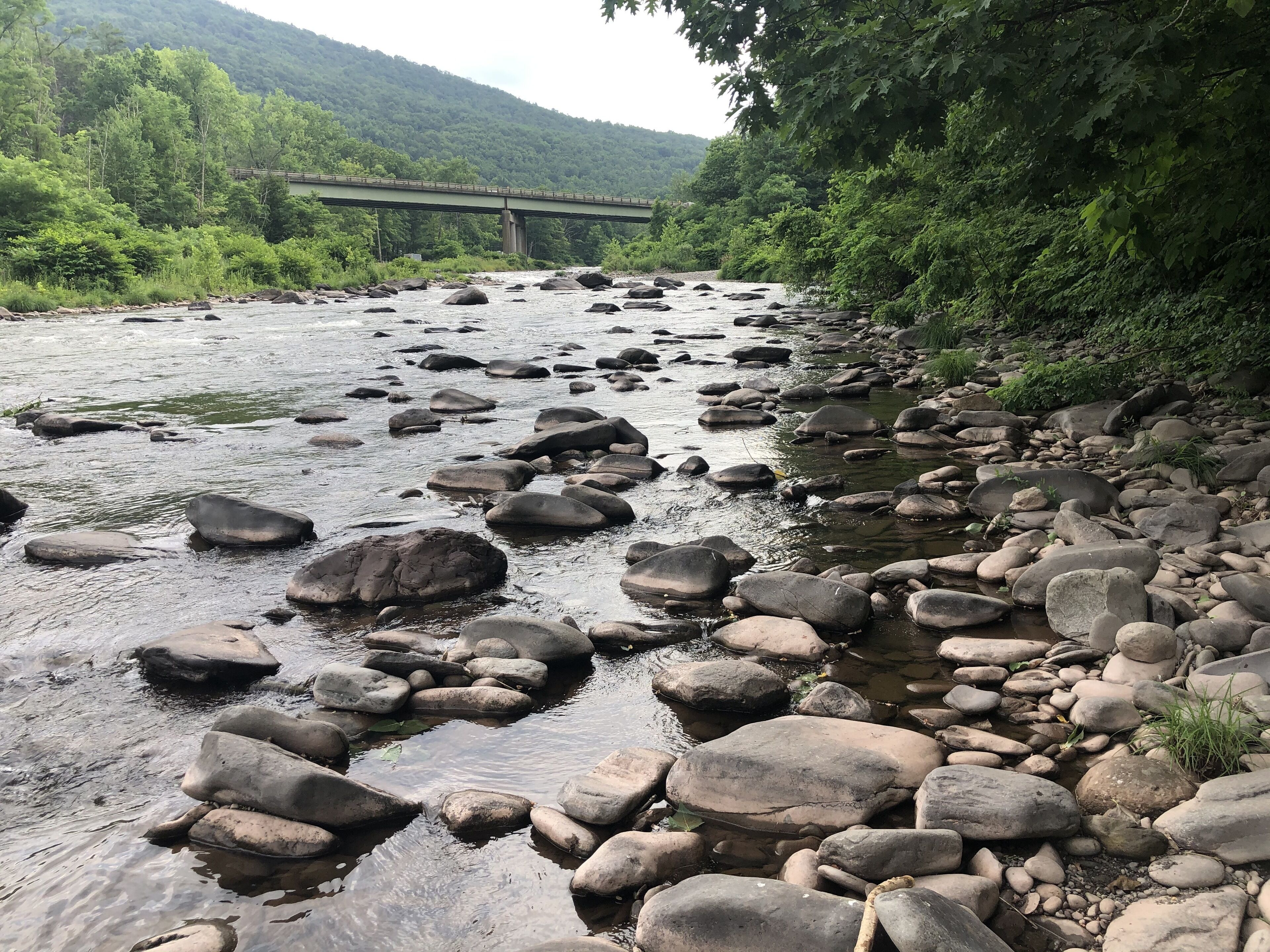 A river with large rocks and a bridge in the background.