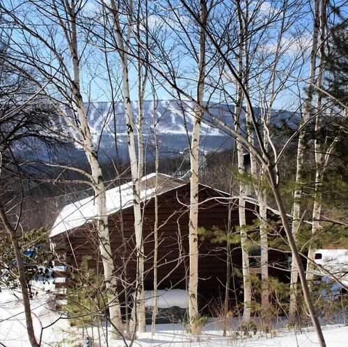 Cozy Log Cabin in the Catskills Belleayre Ski Mountain