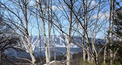 Cozy Log Cabin in the Catskills Belleayre Ski Mountain