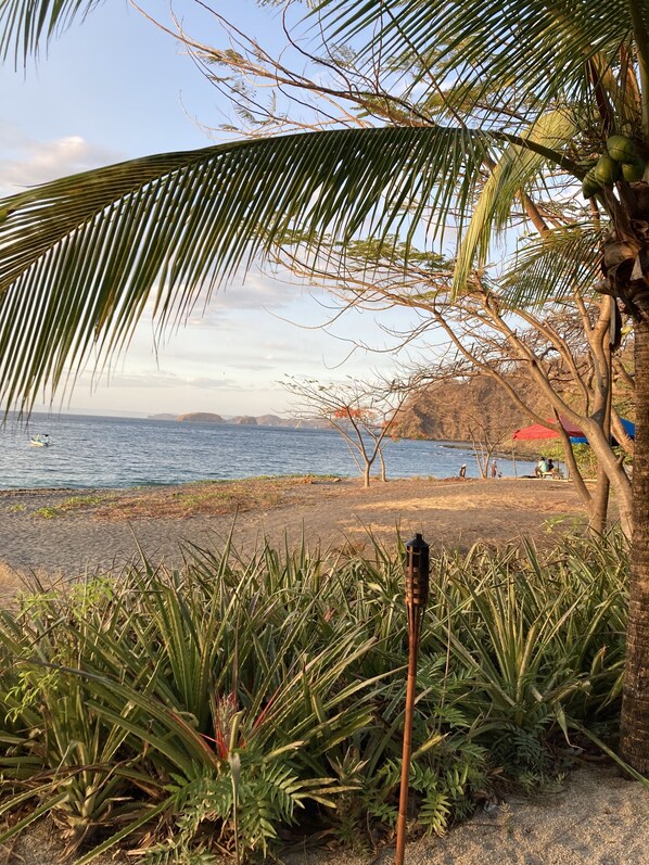On the beach, sun-loungers, beach towels