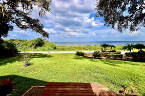 Property grounds - Waterfront harbor cottage, walking distance to downtown, near to beaches & more! (Safety Harbor)