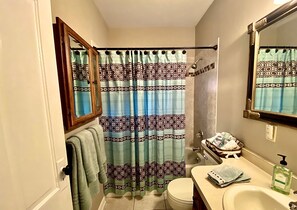 Bathroom features a shower, sink, and mirror.