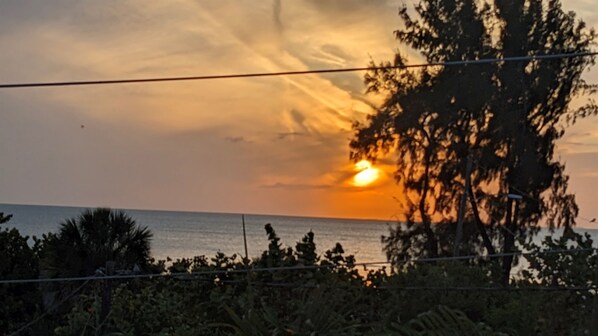 A sunset over the ocean with a tree in the foreground.