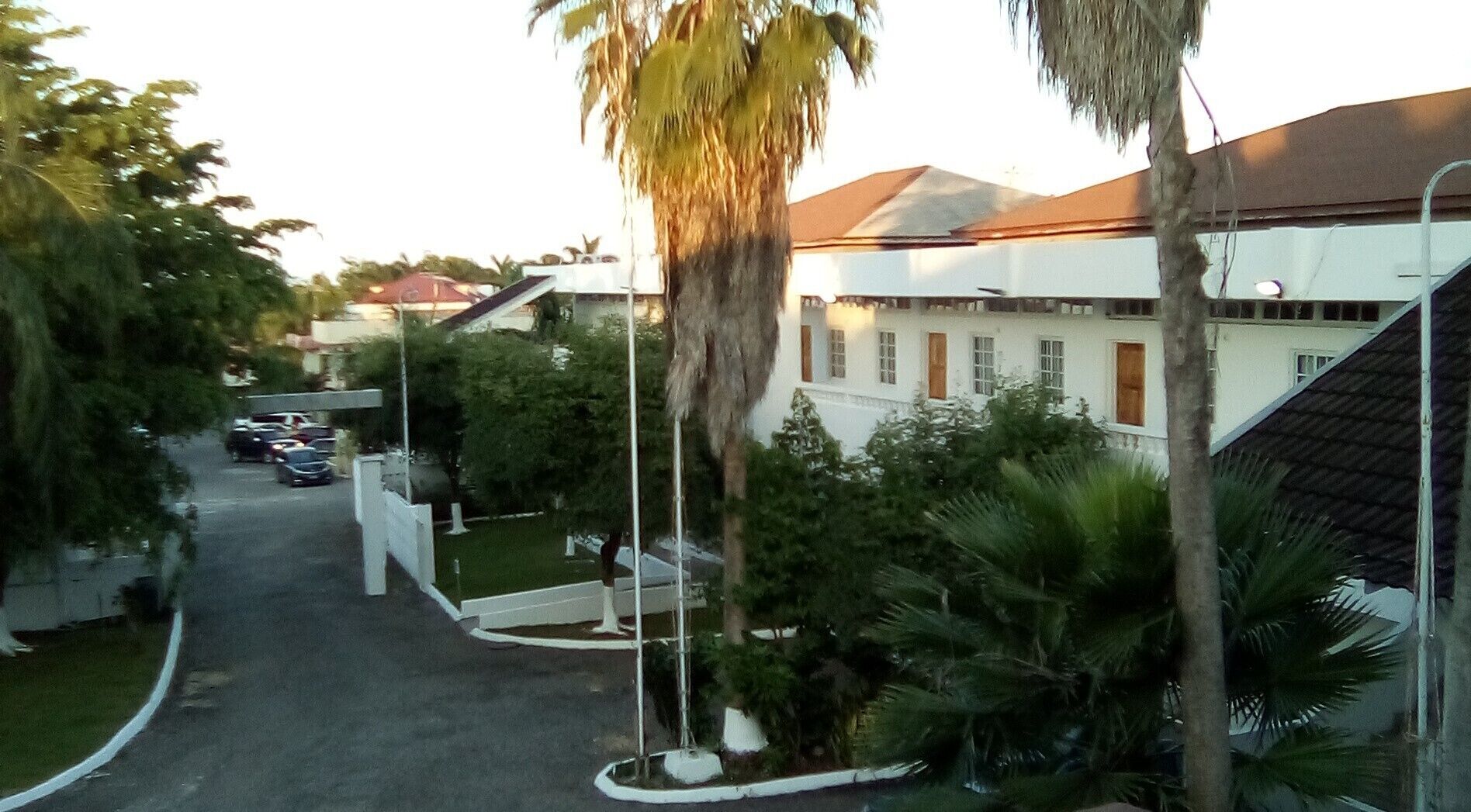 A street view with a white building, parked cars, and palm trees.