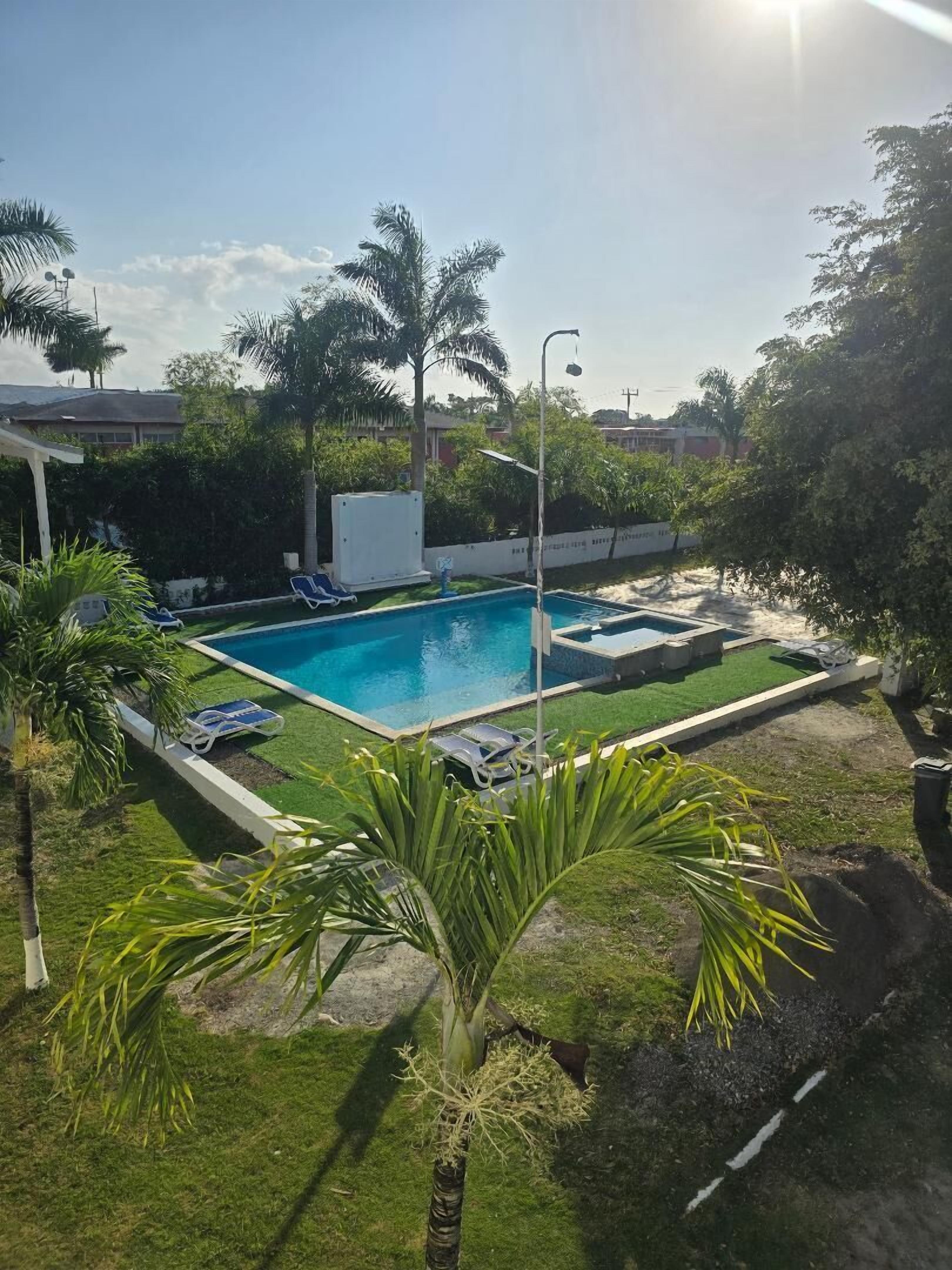 A swimming pool with two sections, surrounded by grass and palm trees.