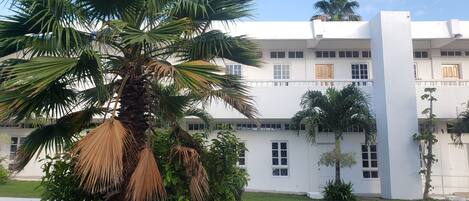 Un edificio con fachada blanca, varias ventanas y una palmera en primer plano.