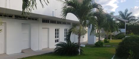 Un bâtiment blanc doté de nombreuses fenêtres et portes, entouré d’une pelouse bien entretenue et de palmiers.