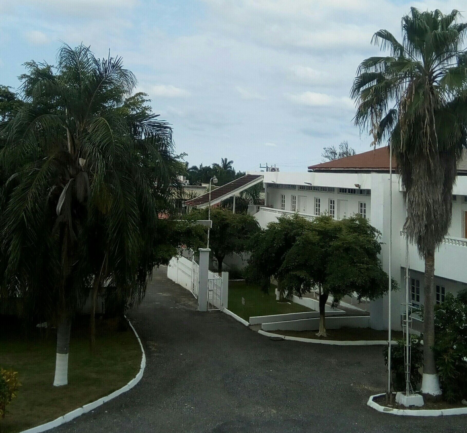 Un camino de entrada con un portón que conduce a un edificio con techo rojo, rodeado de palmeras y vegetación.