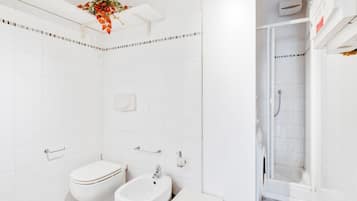 Shower, hair dryer, bidet
