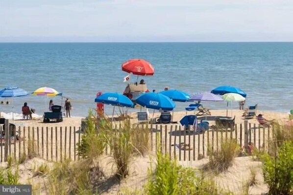 Playa en los alrededores y camastros