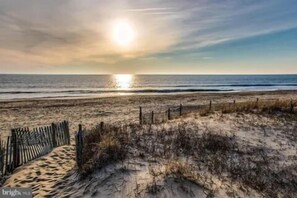 Playa en los alrededores y camastros 