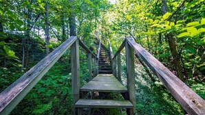 A wooden staircase leading into a forested area.