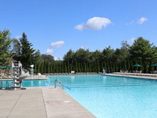 Guests can enjoy a refreshing swim in the pool surrounded by lush trees.