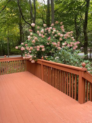 Surrounded by lush greenery, this outdoor deck offers a serene escape with a smooth surface and decorative railings.