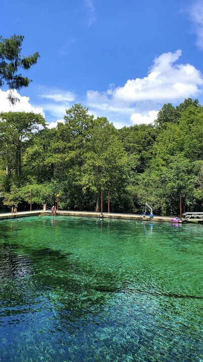 Springs  Cottage 3/1 sleeps 8, near Ginnie, Fanning Springs , Manatee and blue 